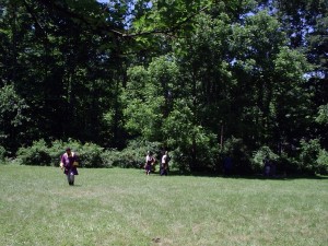 Events 036
